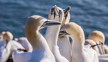 爱游戏平台-【排名变化】最新世界排名运动员榜单公布，世界运动员排名怎么排