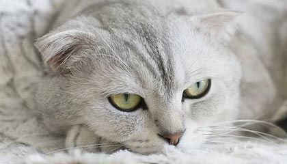 爱游戏平台-【排名变化】最新世界排名运动员榜单公布，世界运动员排名怎么排