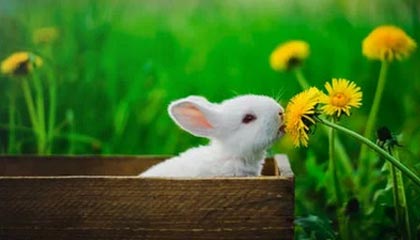 爱游戏平台-【排名变化】最新世界排名运动员榜单公布，世界运动员排名怎么排